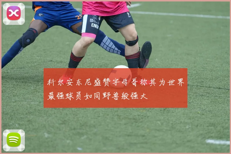 科尔安东尼盛赞字母哥称其为世界最强球员如同野兽般强大